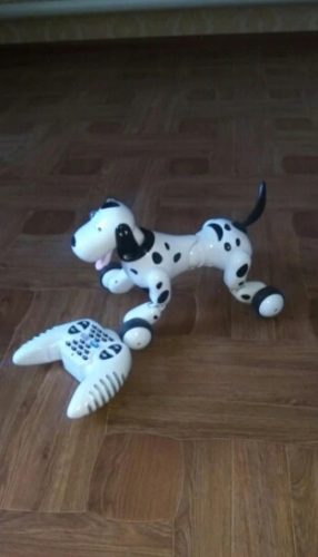 First Pet Smart Robot Dog Toy photo review
