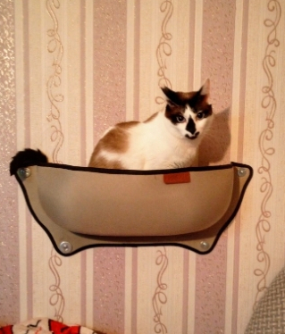 Cat Hammock Bed photo review