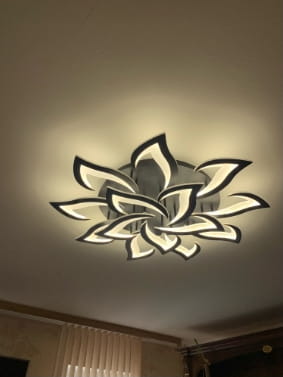 LED Chandelier Bedroom Livingroom Ceiling Lights Modern Lighting photo review