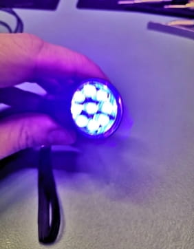 UV Ultraviolet Light Blacklight Flashlight photo review