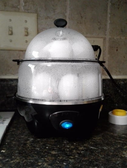 Egg Steamer Premium 12 Egg Capacity Electric Egg Cooker photo review