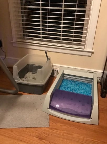 Self Cleaning Litter Box Cat Litter Box With Disposable Trays photo review