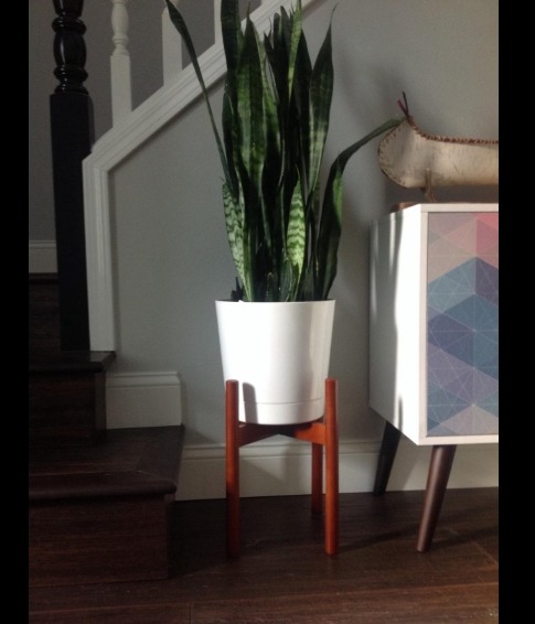 Plant Stand Modern Potted Rustic Decor Indoor Plant Stand photo review