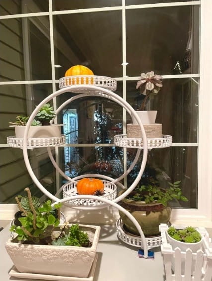 Metal Plant Stand 6-Tiers Plant Stand With Wheels For Indoor Plants photo review