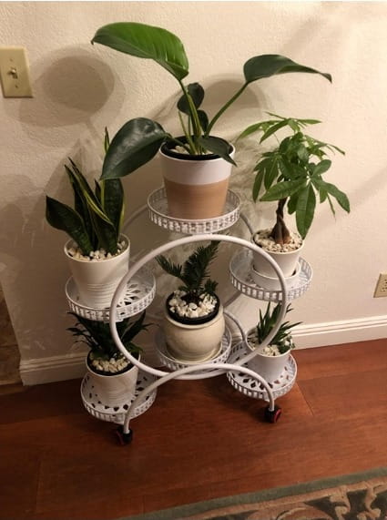 Metal Plant Stand 6-Tiers Plant Stand With Wheels For Indoor Plants photo review