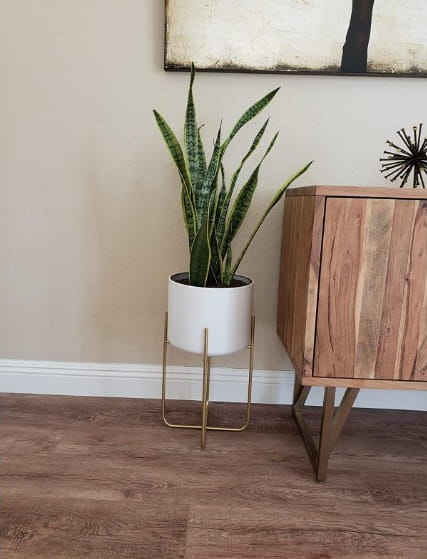 Plant Shelf Pack Of 3 Floor Standing Plant Stand With Pots photo review